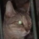F_D_Reina's tweet photo. #NuevaFotoDePerfil https://t.co/b2mSEFniy9