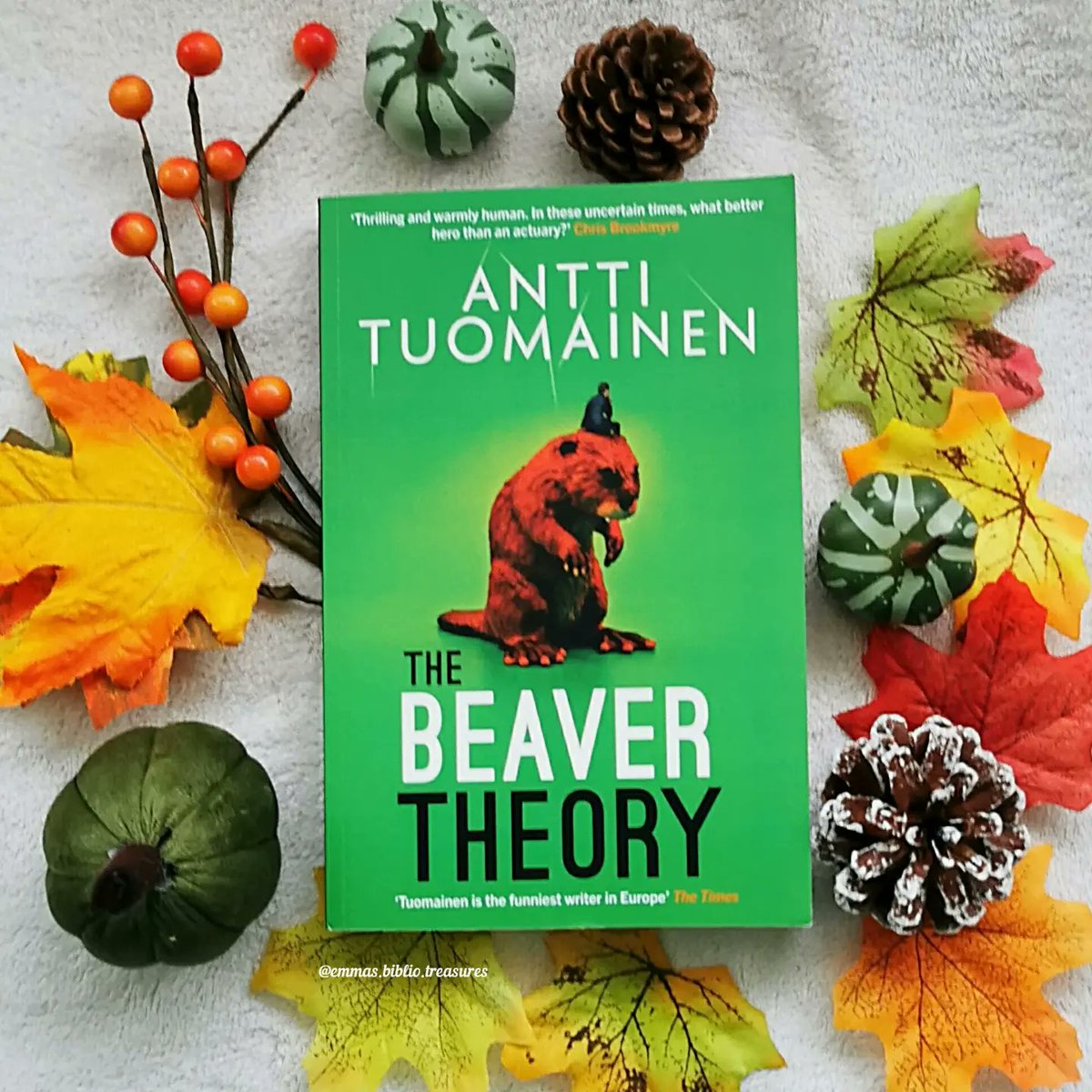 I'm a bit late due to illness, but here's my #bookreview for the laugh-out-loud funny #TheBeaverTheory 🦫

emmasbibliotreasures.com/2023/10/13/blo…

#BookTwitter #blogtour #EmmasAnticipatedTreasures