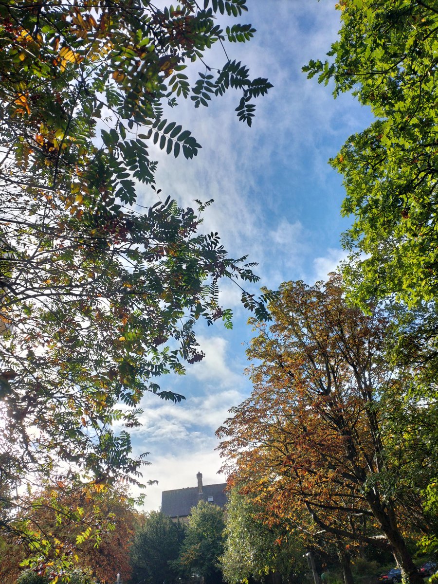 WGS Geog tweet media