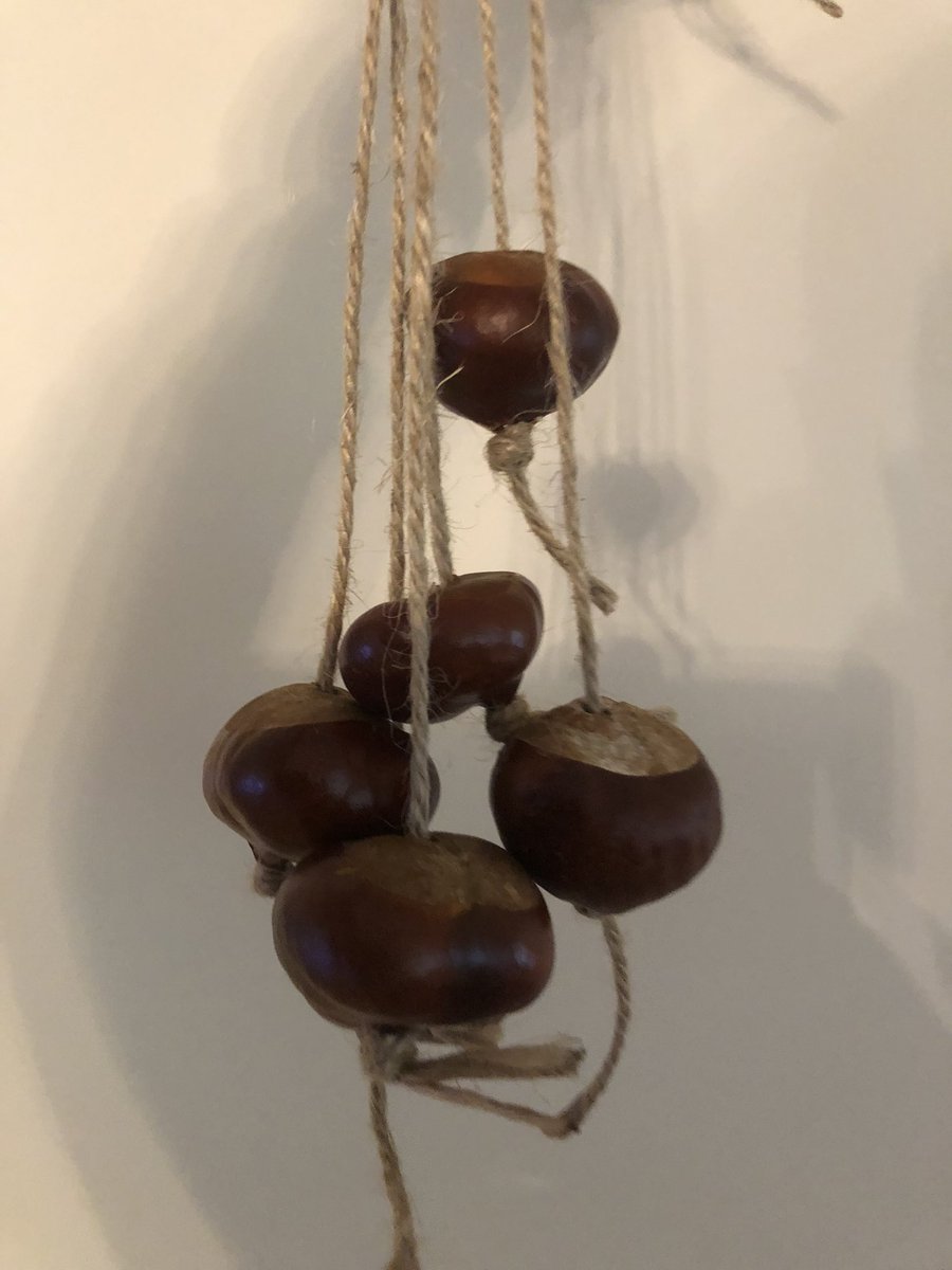 johnpc's tweet image. Spent this afternoon doing something I’ve not done for 50 years #Conkers
