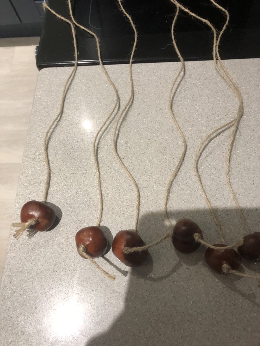 johnpc's tweet image. Spent this afternoon doing something I’ve not done for 50 years #Conkers