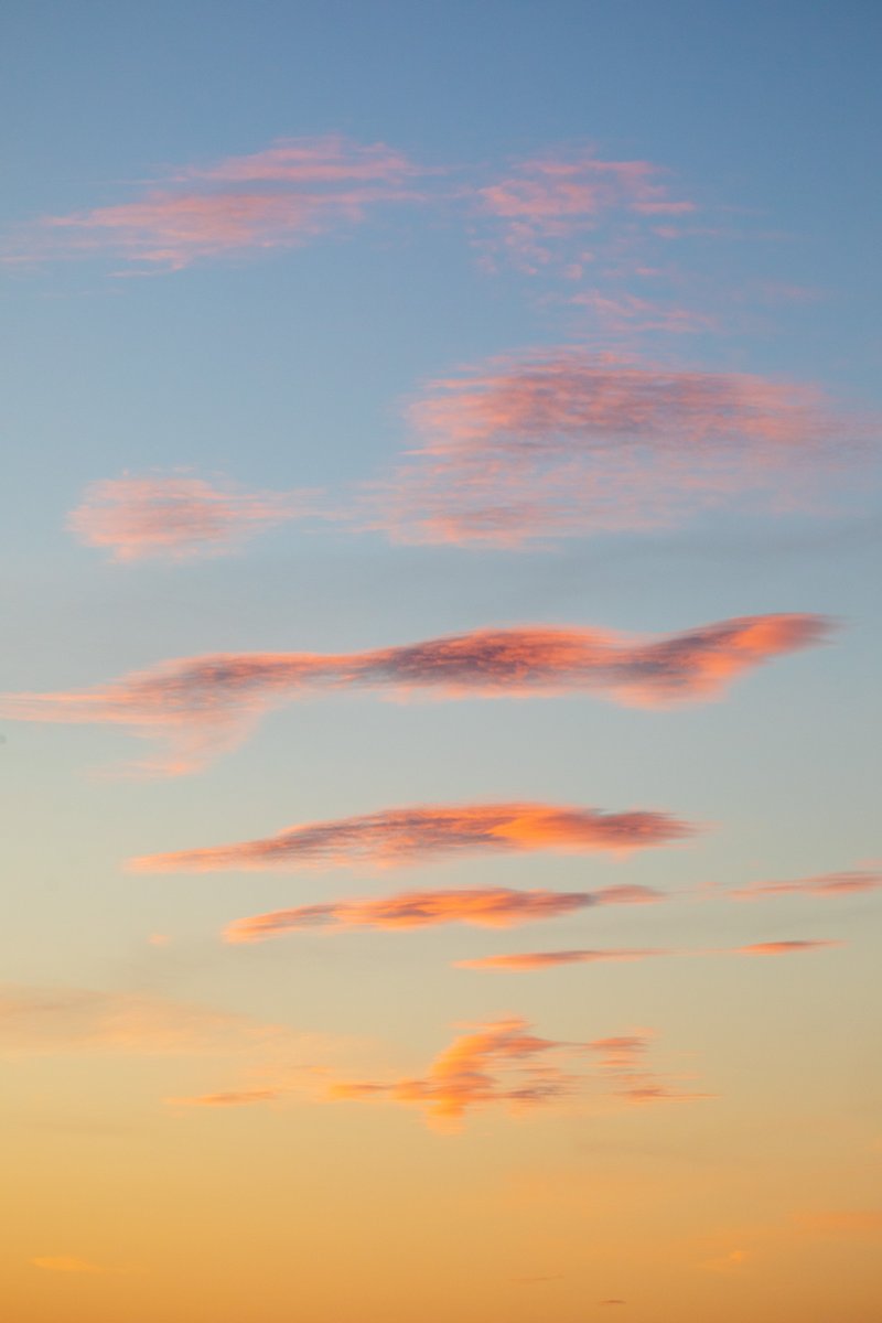 Pastel sunrise this morning in #Victoria #yyj