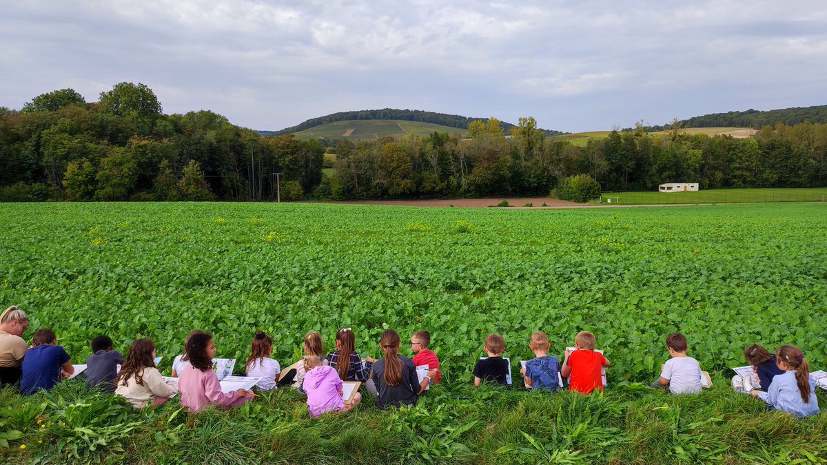 #paysages #croquis #ecoledehors #lecturedepaysages #ce1
