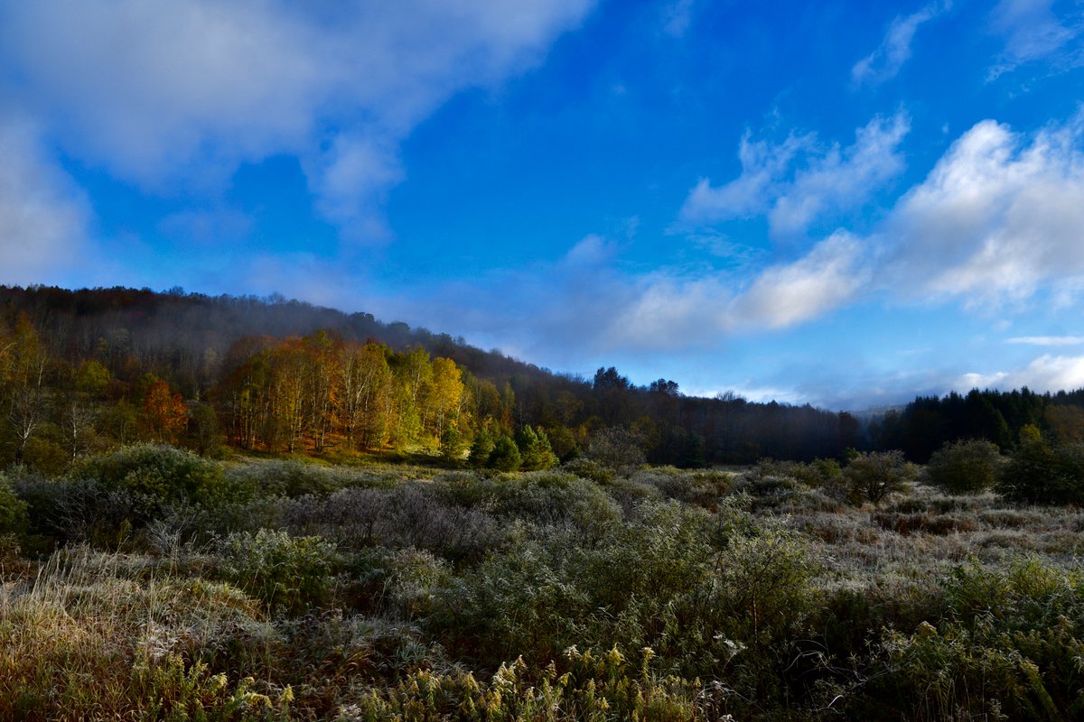 TimLape's tweet photo. @CBS6Alyssa Fall, fog &amp; frost. Have a lovely Fall weekend...#upstateny #cbs6 #capitalregion #fall2023 #catskillmountains https://t.co/xDxIIVAVXA