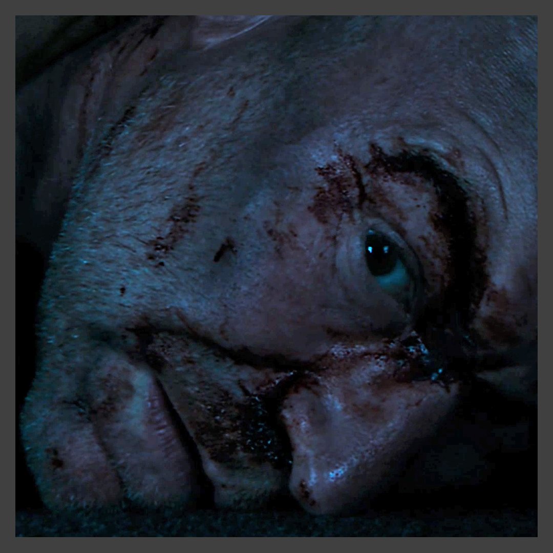 Coronation Street tweet media