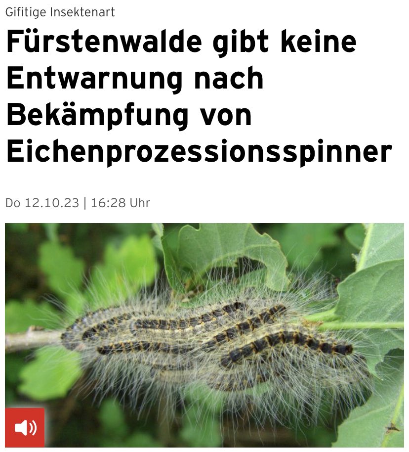 Fürstenwalde gibt keine Entwarnung nach Bekämpfung von Eichenprozessionsspinner

rbb24.de/studiofrankfur…