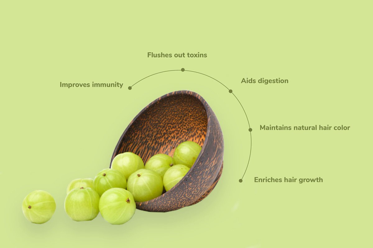 SophiaBatterton's tweet image. Amla :-
Amla is rich in vitamin C. 
Amla has anti-inflammatory properties. 
Amla boosts metabolism. 
Amla helps you manage blood sugar levels, for male health. 
Amla juice promotes heart health.  #SerialKillerBalaBanne
#BrandedFeatures📷#ErectileFunction