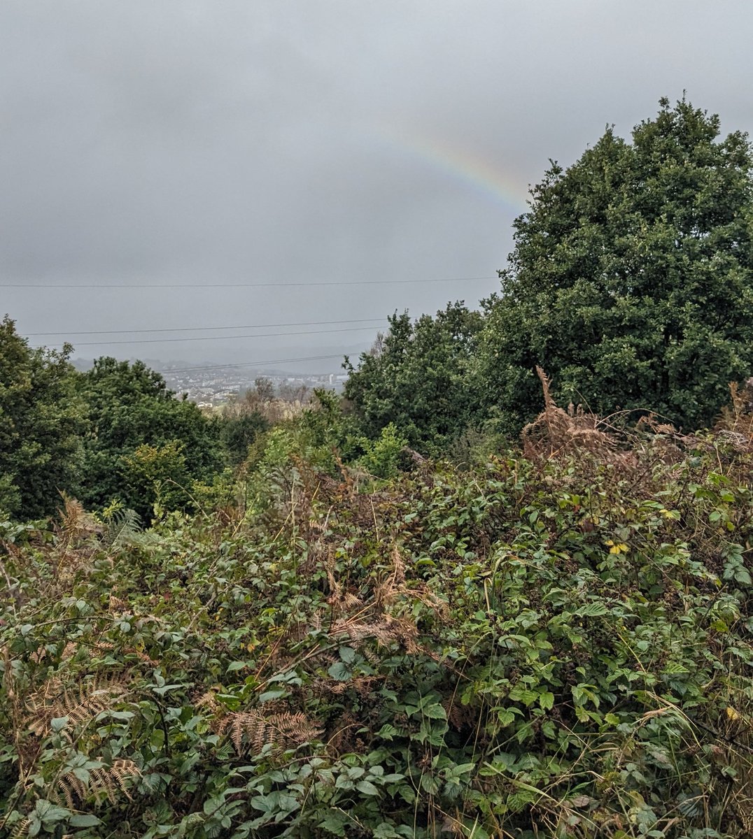 sarah goodey tweet media