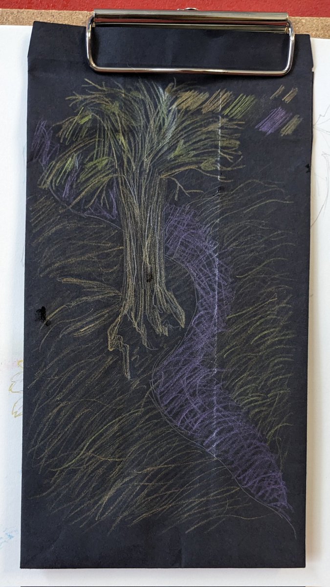 sarah goodey tweet media