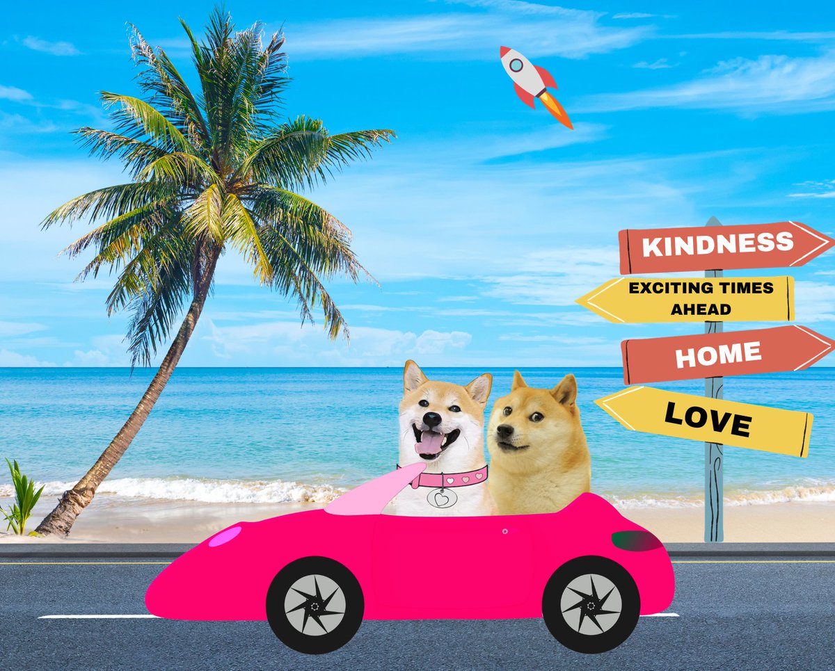 DogeGF tweet media
