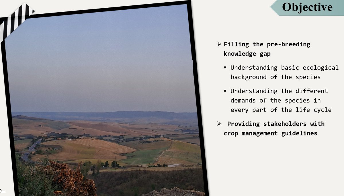 @lifefalkon tweet media