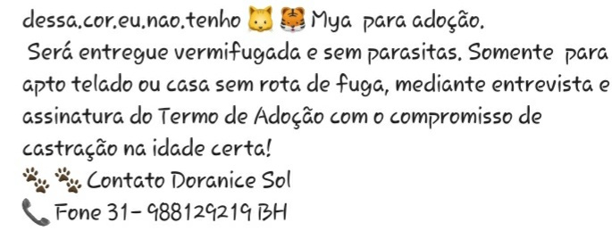 AGREGATOS_OFC's tweet photo. 🐈🐈🐈🐈🐈🐈🐈🐈🐈🐈

#adocao #adocão #adoção #adoçãoresponsável 
#doação #doacão #doacao #AçãoSolidária 
#gatos #bichanos #felinos #pets #PetLover #PetsLovers #CatLover #CatLovers #CatsLovers 
#gateiras #gateiros
#BeloHorizonte #MinasGerais https://t.co/wvp10SxcKb