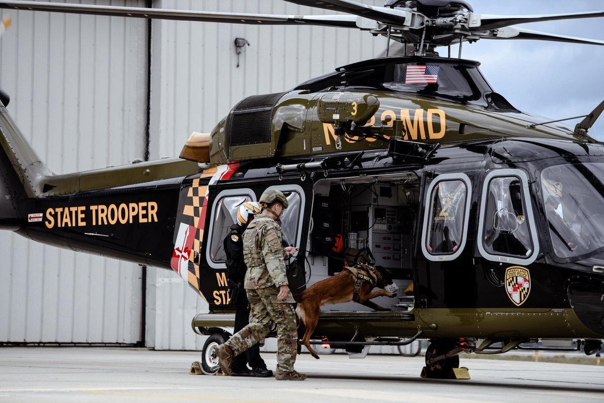 AirForce_DW's tweet photo. Last week, @Andrews_JBA #militaryworkingdogs got acquainted with @MDSP operational aircraft, ensuring they're ready for any mission that comes their way.  From boarding a #helicopter to getting geared up, these pups are always up for the challenge!

https://t.co/rEY3N9ACnD https://t.co/en7o1FMvyI
