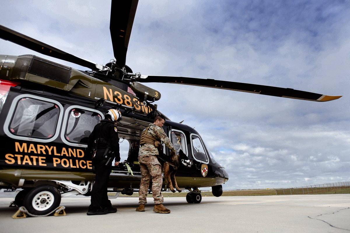 AirForce_DW's tweet photo. Last week, @Andrews_JBA #militaryworkingdogs got acquainted with @MDSP operational aircraft, ensuring they're ready for any mission that comes their way.  From boarding a #helicopter to getting geared up, these pups are always up for the challenge!

https://t.co/rEY3N9ACnD https://t.co/en7o1FMvyI