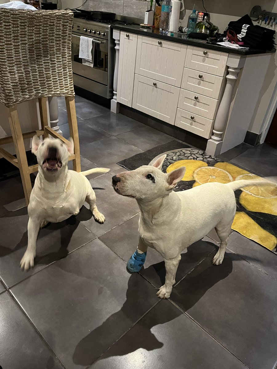 cam 🧸 tweet media