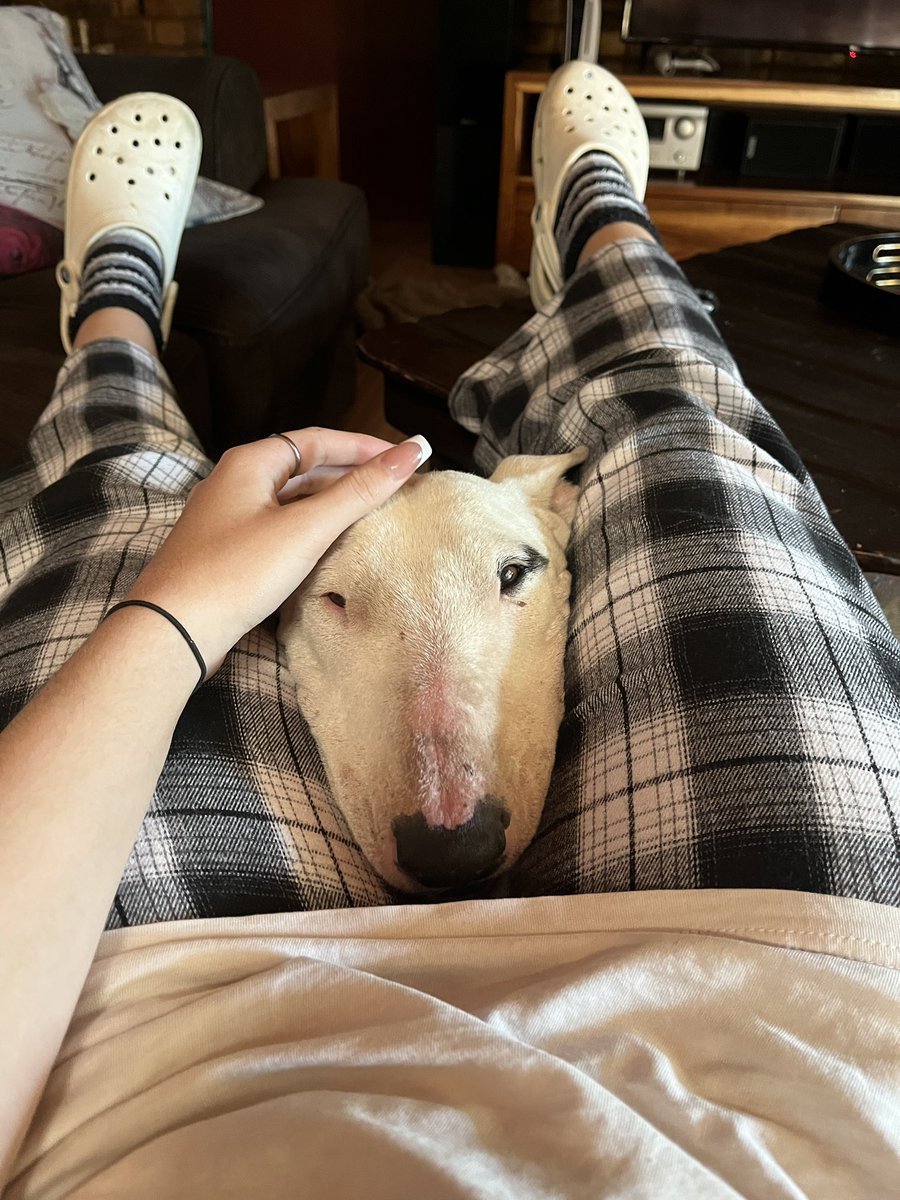 cam 🧸 tweet media