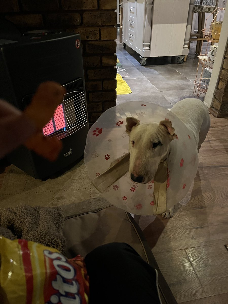 cam 🧸 tweet media