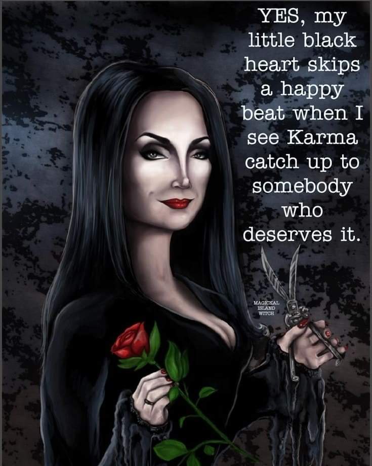 miranda jansen tweet media