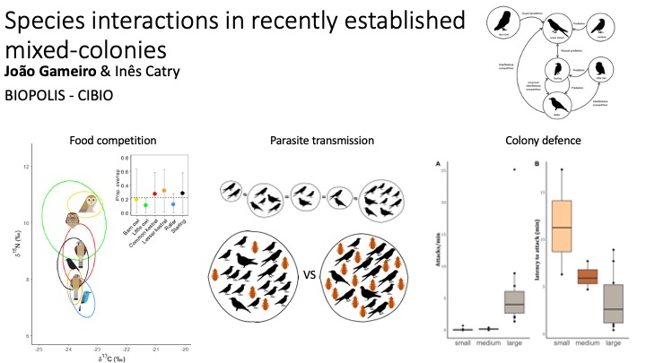 @lifefalkon tweet media