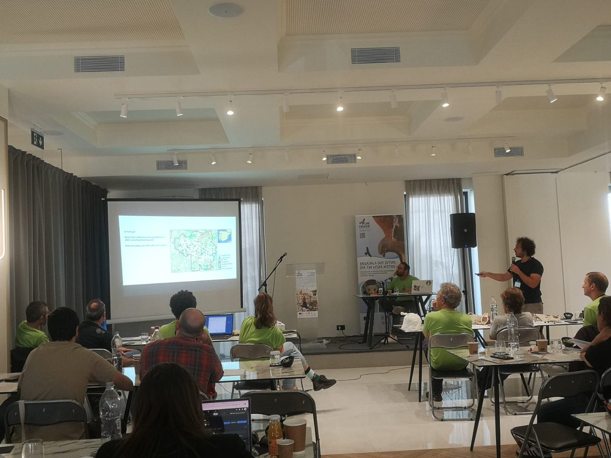 @lifefalkon tweet media