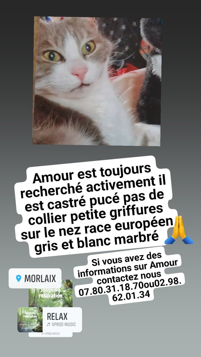 AlainMille's tweet photo. Merci de partager pour Amour Merci de republier Merci à tous 🙏 👀 https://t.co/aqMocksUT5