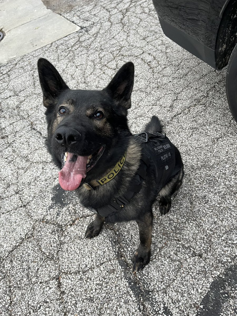 Zaro and the <a href="/WilloughbyPD/">Willoughby Police</a> with the clean fit! 🔥🔥🔥 <a href="/PlutFamPartners/">PlutkoFamilyPartners</a> #Plutko45