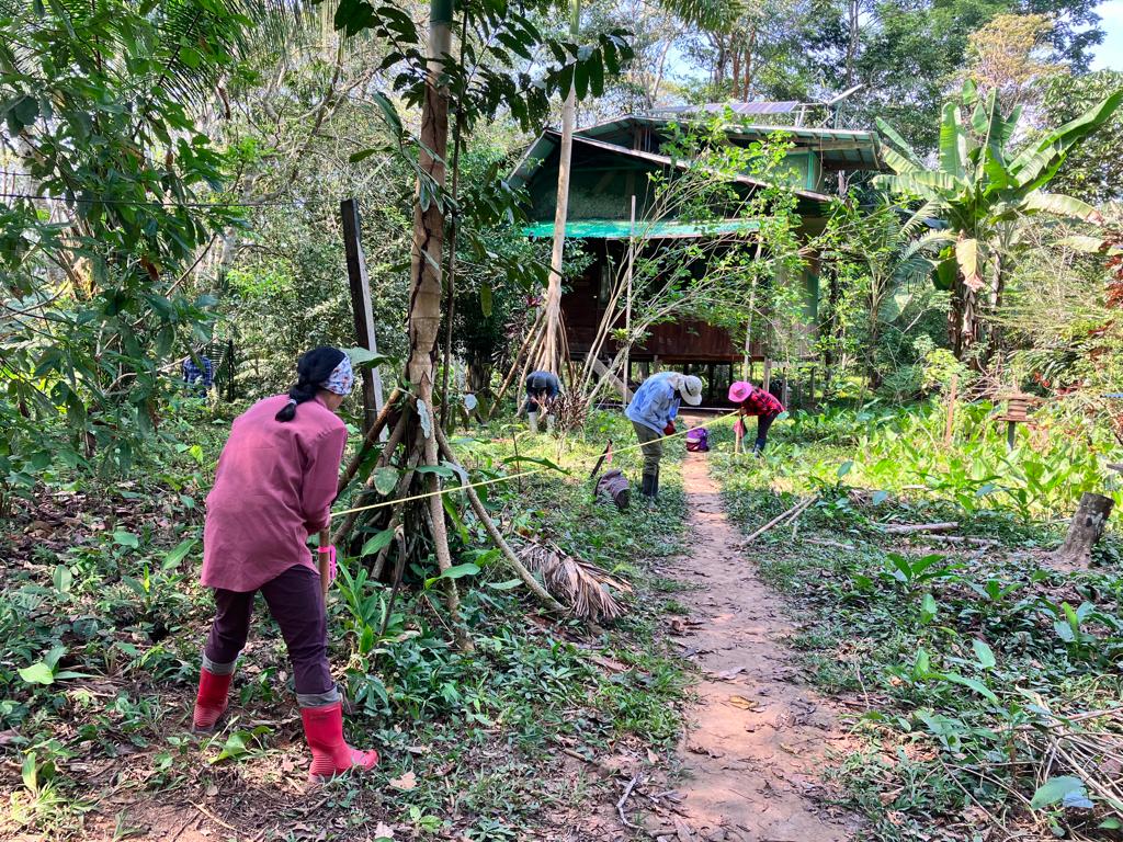 #FridayFromTheField: Sylvera's Field Data Science team is currently collecting Inventory & Terrestrial Laser Scanning (TLS) data in the agroforestry and secondary tropical forest systems of Camino Verde, Tambopata, Peru.