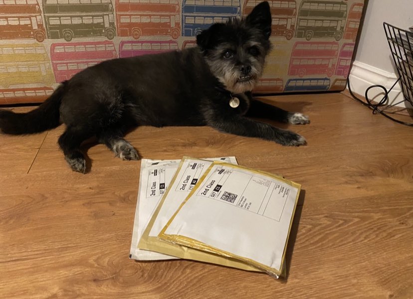 SafeSuburban's tweet photo. A sad week here at SSH Towers as we say goodbye to Label Dog #1. Here she is looking after some Cowgirl radio promo CDs. RIP Maggie May 😢 https://t.co/bcDs4UUWOR