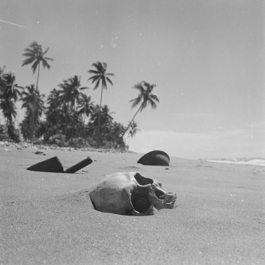 Guadalcanal beach, 1951. 

Six years after WW2 ended, eight years after the Battle of Guadalcanal.

I wonder if he was a US Marine, or a Japanese soldier. Either way he was a human being. He had a family who never knew where their loved one's body lay.

(LIFE/Howard Sochurek)