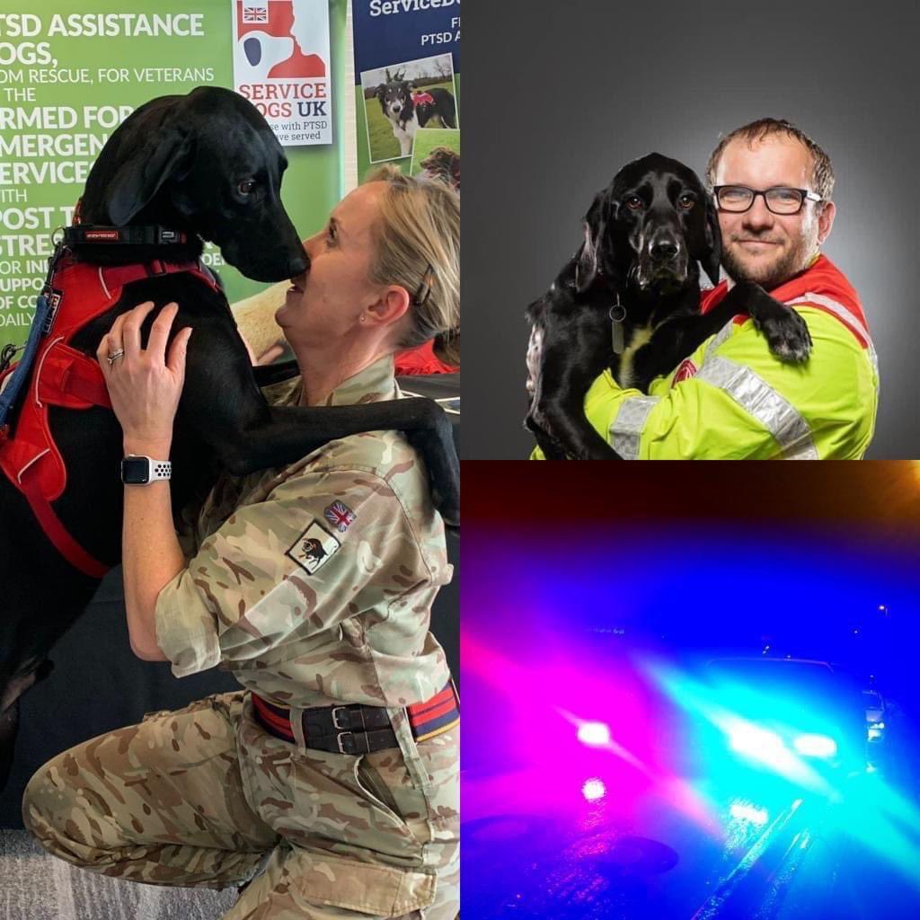 We need a talented Fundraising Manager to help us change lives! If you are passionate about our military and emergency services Veterans together with rescue dogs, we want to hear from you! #assistancedog #PTSD #dogs