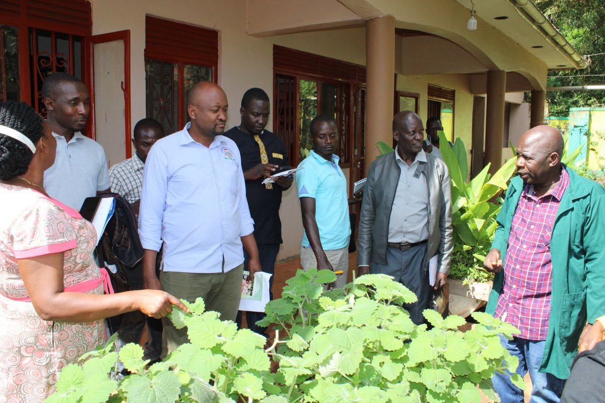 afirduganda's tweet photo. #Happening_Today, AFIRD hosted a delegation of Organic Practitioners under the @AcsaUganda. The team included smallholder farmers, CSOs &amp; students from @umunkozi(ACALISE). The objective of the visit was to facilitate knowledge transfer and dissemination among the membership. https://t.co/E9duMiwoAy