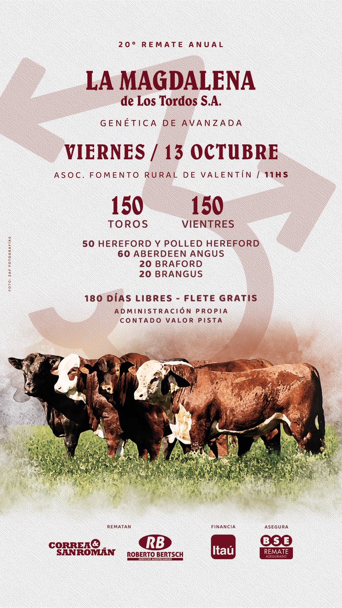 Federico Stirling tweet media