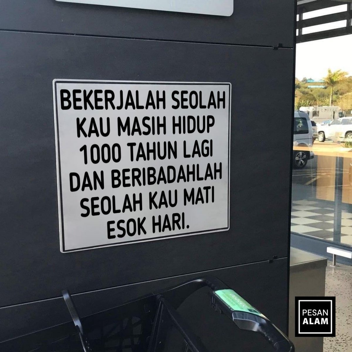 This!