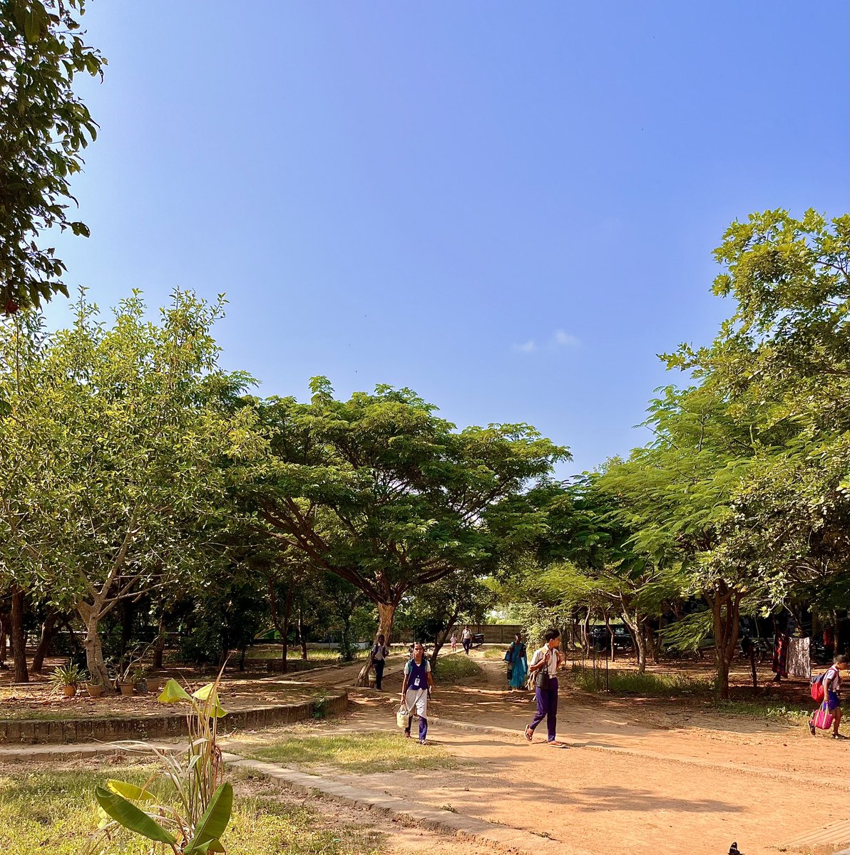 Here is a story of how a Tsunami brought about social change! It all began with a dream, quite literally! 🧵👇🏾
<a href="/cometokannarpet/">Kanavu</a>