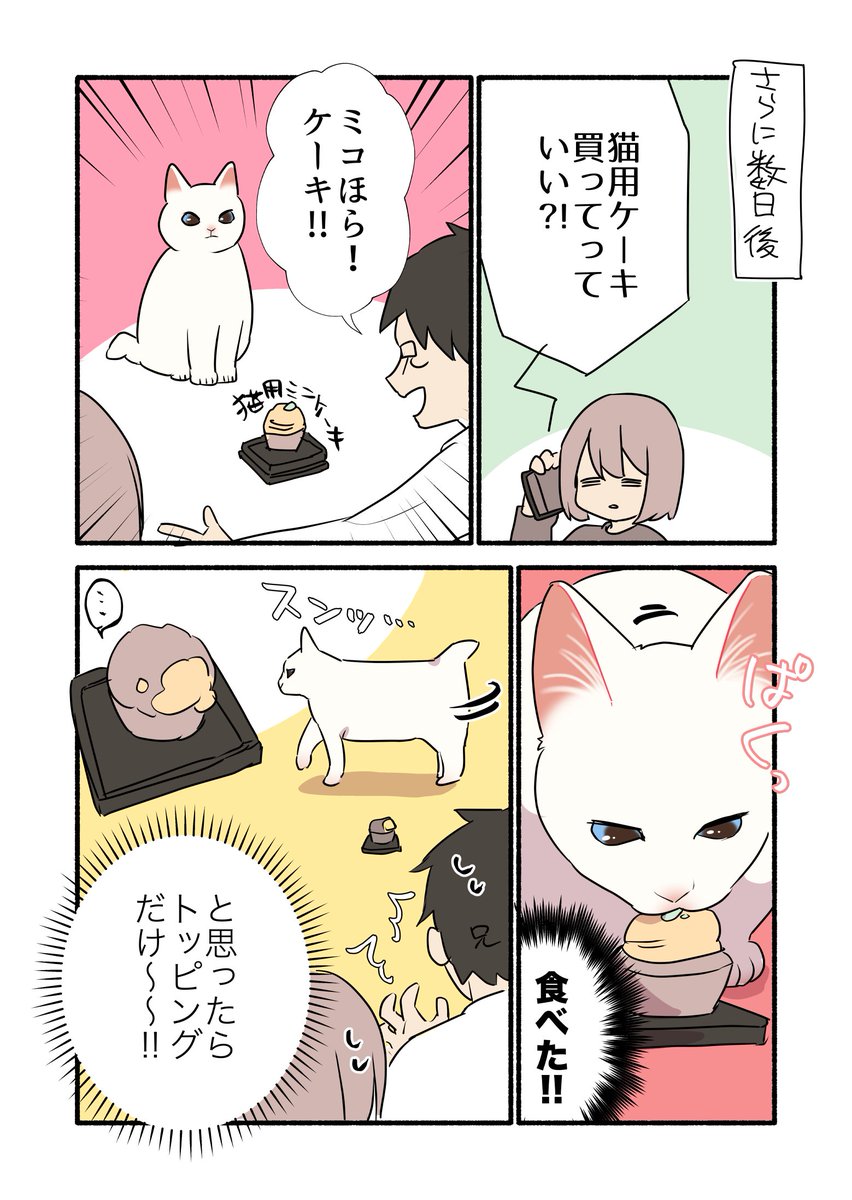 甘えんぼ猫が「親戚のおじさん」を手に入れた話(2/2) #漫画が読めるハッシュタグ