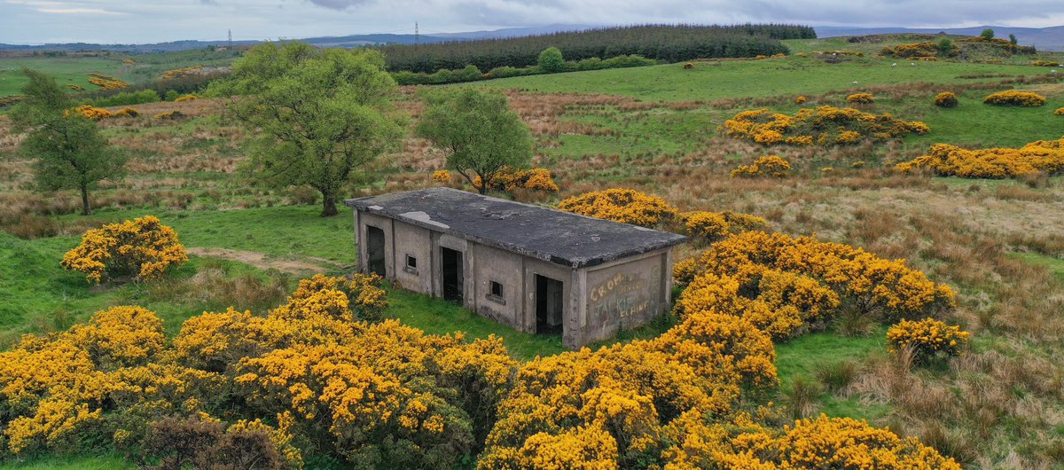 DeviantDiscover's tweet image. youtu.be/lflaiPfQjDo?si…
Video link above of our photography below at the abandoned anti aircraft battery in Clydebank, Glasgow, Bogside, Langbank, Scotland, dating back to #worldwartwo. 
Please subscribe to our YouTube. 🙂 
#urbexplace #urbexplaces #urbexphotos