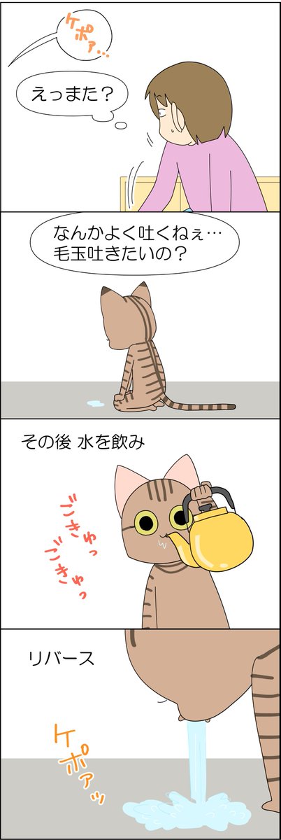 猫が胃腸炎になった話 2/3