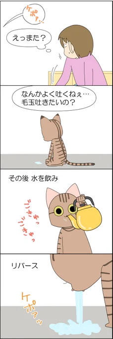 猫が胃腸炎になった話 2/3