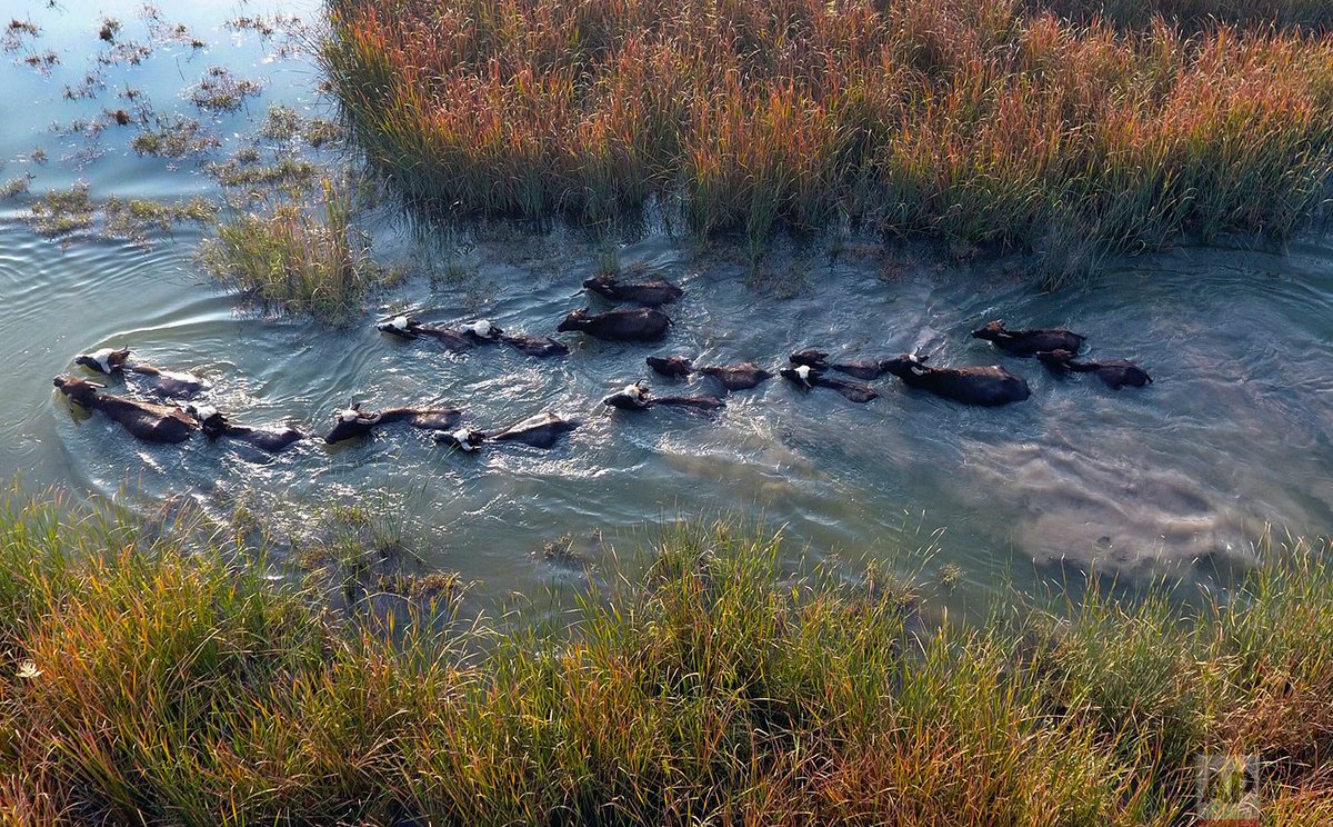 Jabberwocky Wonders tweet media