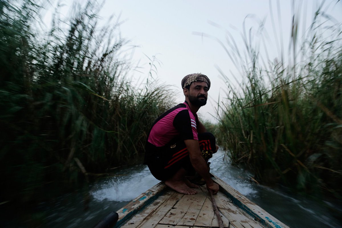 Jabberwocky Wonders tweet media