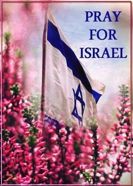goldisez's tweet photo. @MBLINDAM @lgcomin @SweetLouTiger @no_itsmyturn @misfitnici @1Nicdar @DennyGr28530407 @DesireeAmerica4 @pokergod12345 @Amy95474055 @suppes_lisa @TaliSimak2841 @CindyMentele @ChristineYeder1 @TheJudge96 @cassisnouveau @Lisahudsonchow7 @AultGt @MbGaUSA @mil_vet17 @Rickster_75 @stevealex140 @realFanTrump @MustangMan_TX @imUrB00gieman @JudyFor23699177 @Wendy_Rog6 @4321parker @momof331 @Rammie24 @Melissa1opinion @x4Eileen @helen44767171 @FlGrownPatriot @betti_lynn @DannyLew1956 @BubbaSon6x9 @jconricus Agreed my friend!
Things must change ~
Thank you for the mention 
 Stay safe 🙏🌸🙏
@MBLINDAM 
       💞💞💞 https://t.co/IIbzqzx8Q7