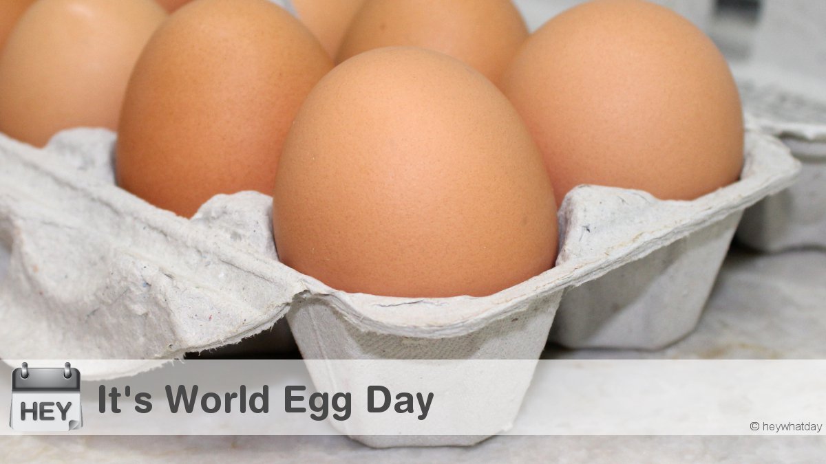 It's World Egg Day! 
#WorldEggDay #EggDay #BrownEggs