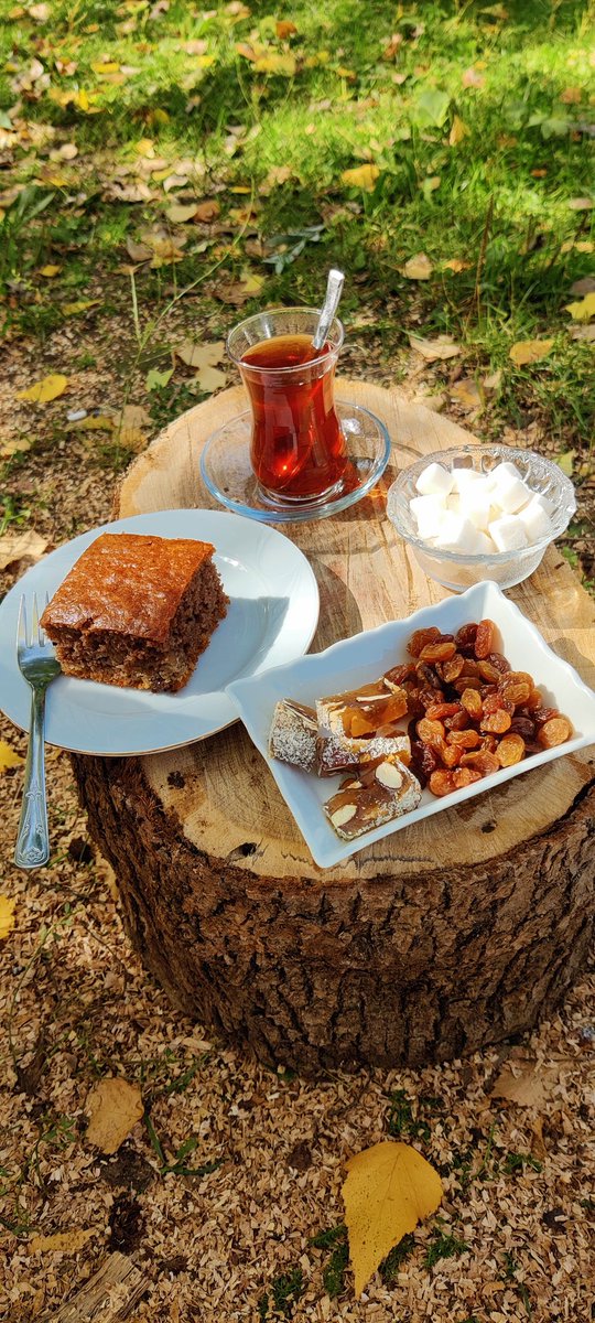 Hep kaçırdık ölçüyü.
Sevgide,
Değerde,
Bundandır belki,
bunca olmamış insan..!

Seçil Oğuz⚘️