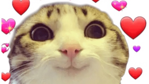 hugecatface's tweet photo. https://t.co/z0parzMuRH