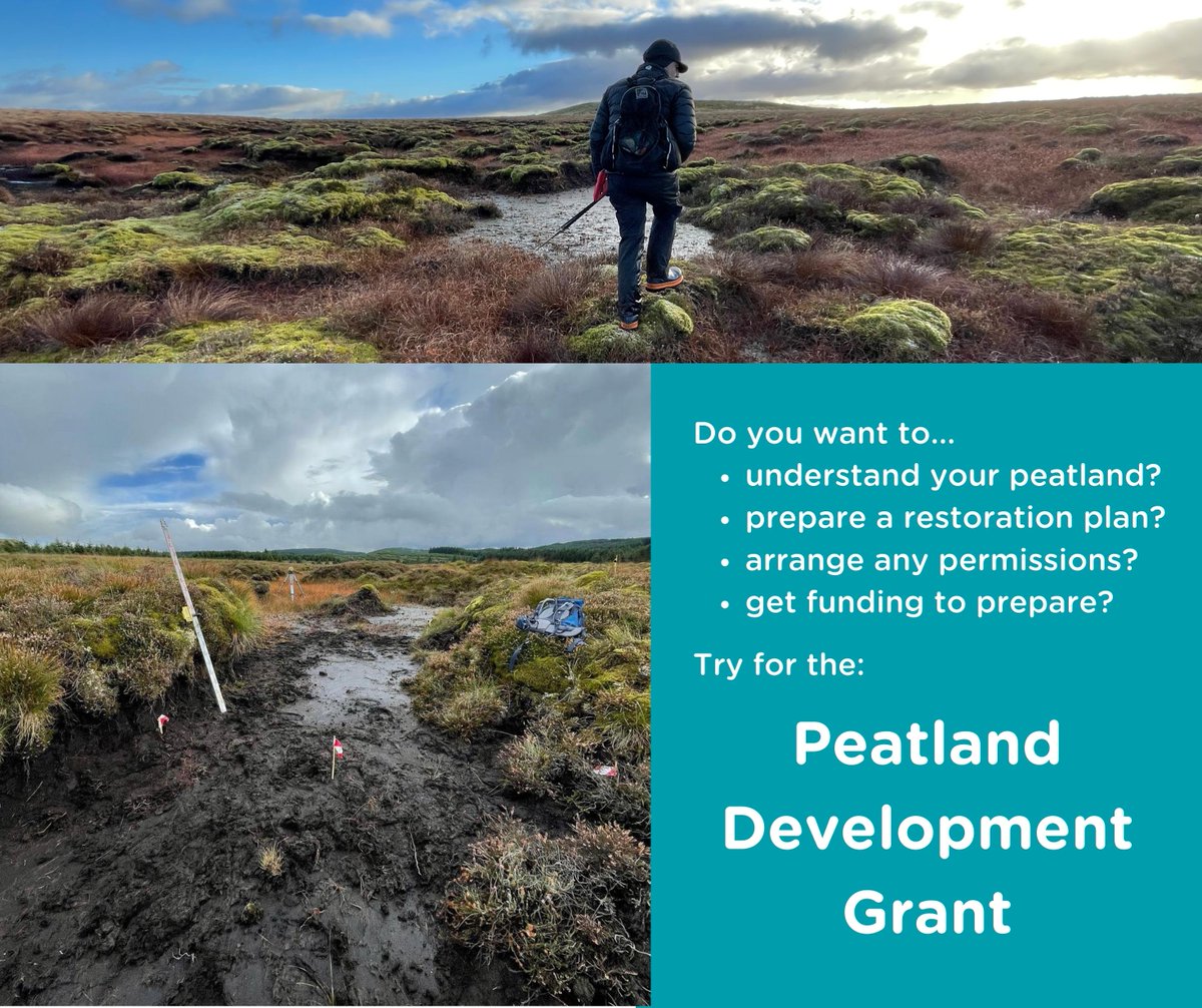 Grants!
Peatland is our best carbon sink in Wales, yet 90% of our peatland is damaged.
Here’s a grant that support you to understand your peatland and plan for its restoration. 
<a href="/WGClimateChange/">Welsh Government Climate Change</a> <a href="/peatlandcymru/">@PeatlandCymru</a> 
#HighNatureLowCarbon
#WalesPeatlandAction 
orlo.uk/PeatlandGrantA…