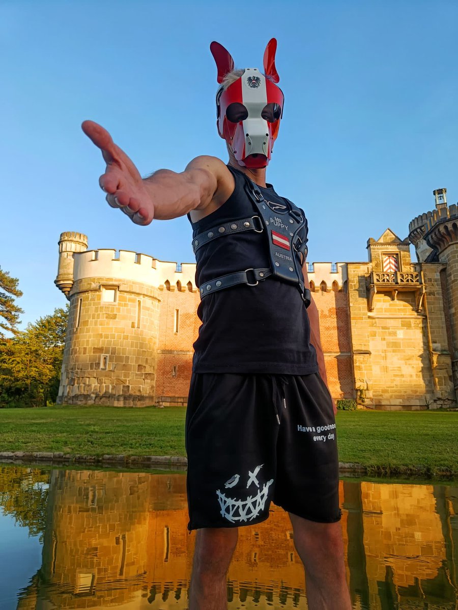 Gimme your Paw, we can do this together 🐾