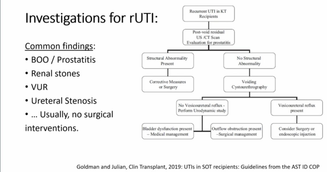 TxIDdoc's tweet photo. #IDWeek2023 

UTI in Renal Tx R 
37.8% bacteremia in UTI with KTRx 
No Sx, No UTI 

Can treating ASB decrease pyelonephritis? “Not 1st 2months” 

- Not really ➡️more resistant bugs! 

Optimal duration in IC pts? 7 vs 14 d? 

Rec UTI: Voiding cystourethrogram w neg imaging https://t.co/ufmq9AwaXb