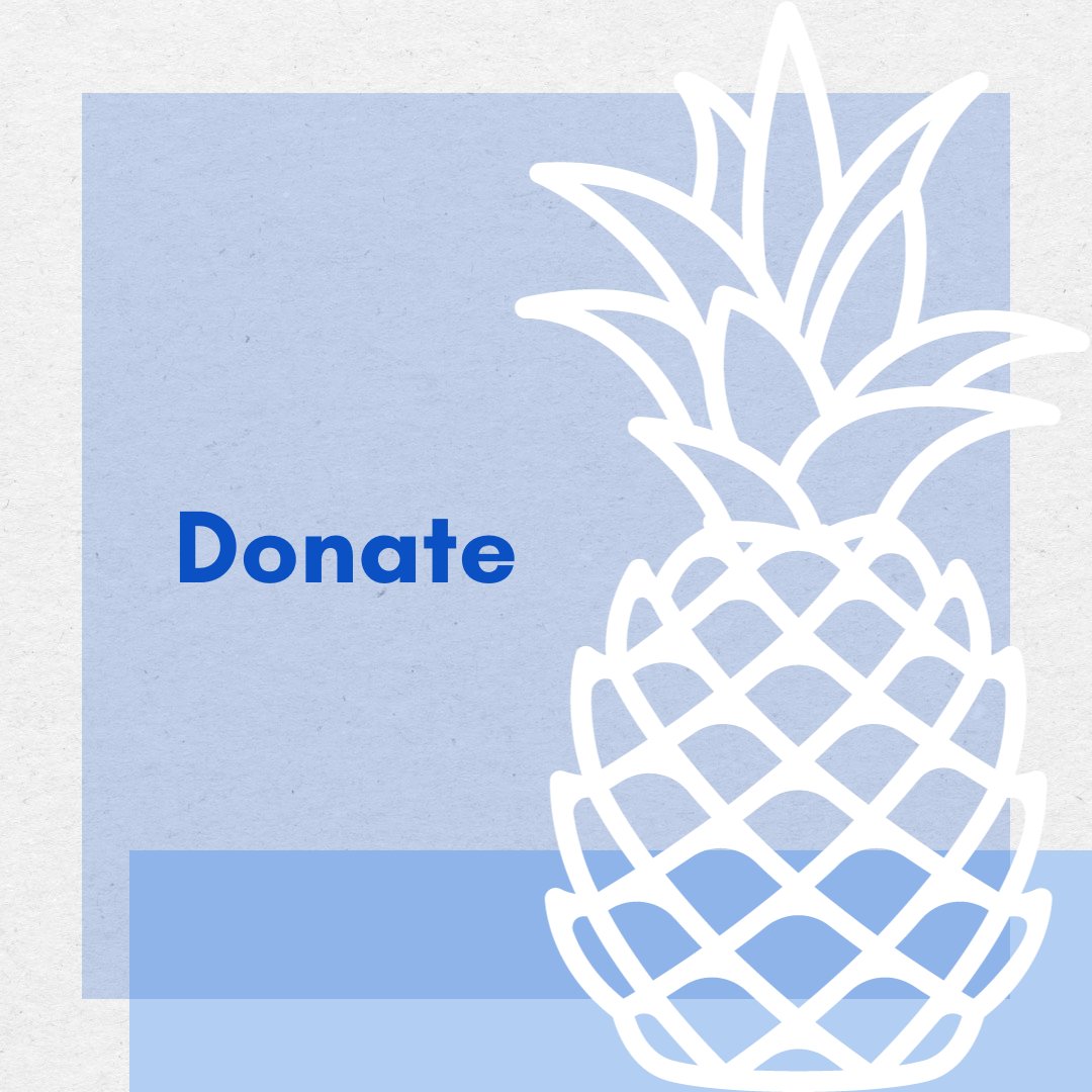 Our mission is to alleviate the isolation felt by many performers by supporting each other, so no one need ever feel alone! Every dollar donated is a dollar that helps support performers in need of therapy🍍

pineapplesupport.org/donation

#mentalhealthmatters #mentalhealthcommunity