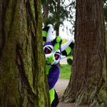 Photo by RadPandaCreations (@radpandaUK)