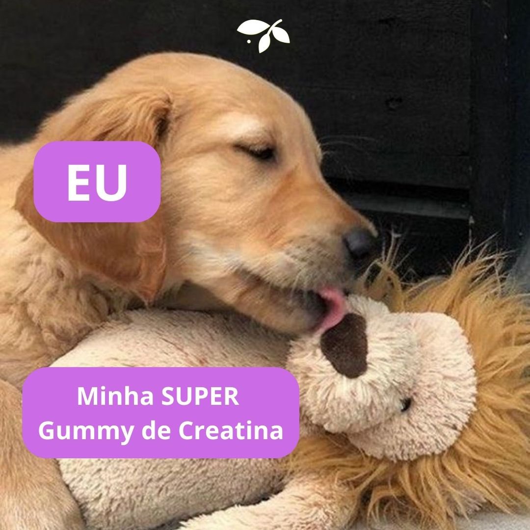 Quem também está assim com esse SUPER lançamento? 💜

E quem ainda não experimentou, clique aqui: 
desincha.com.br/super-gummy-cr…